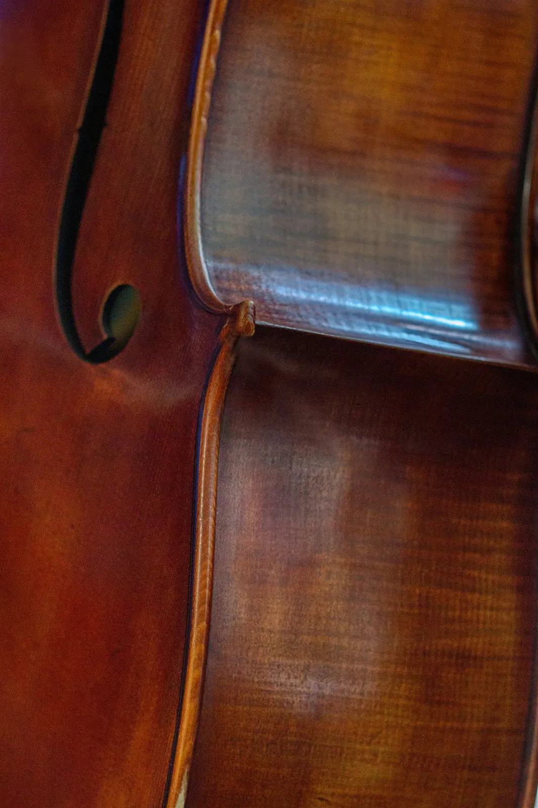 Cello